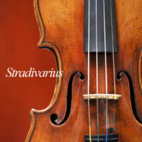 Senza-titolo-2_0003_stradivarius-1729